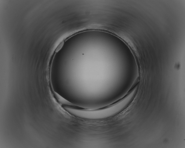 X0000091081342200708271228