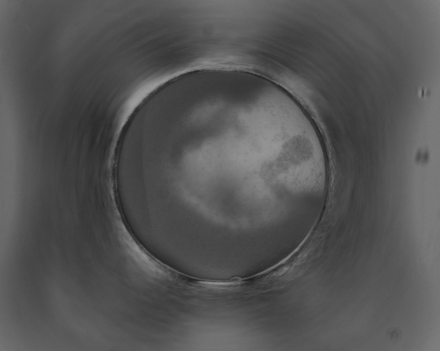 X0000091081344200708271228