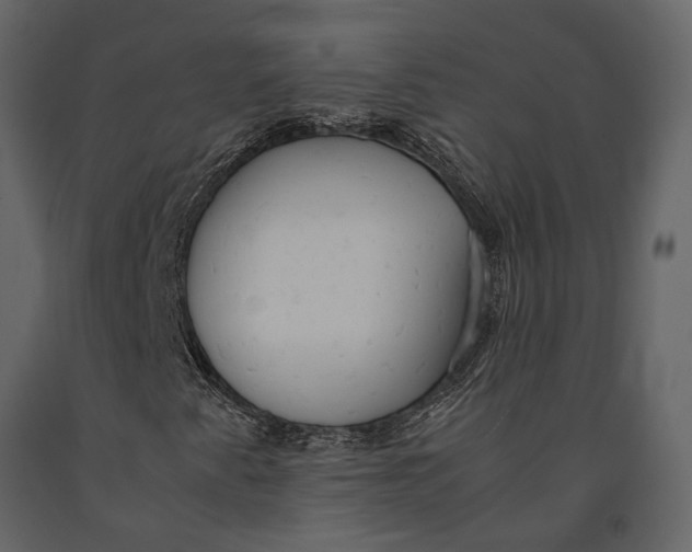 X0000091081345200708271228