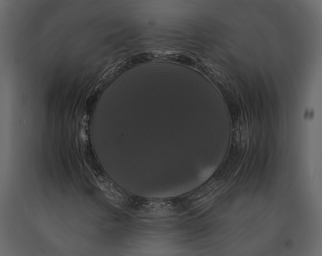 X0000091081346200708271228