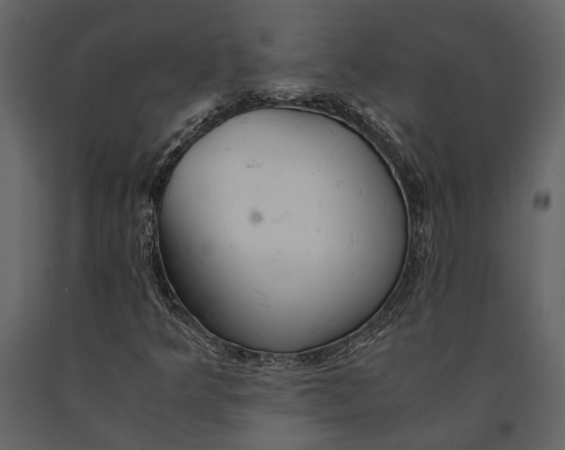 X0000091081349200708271227