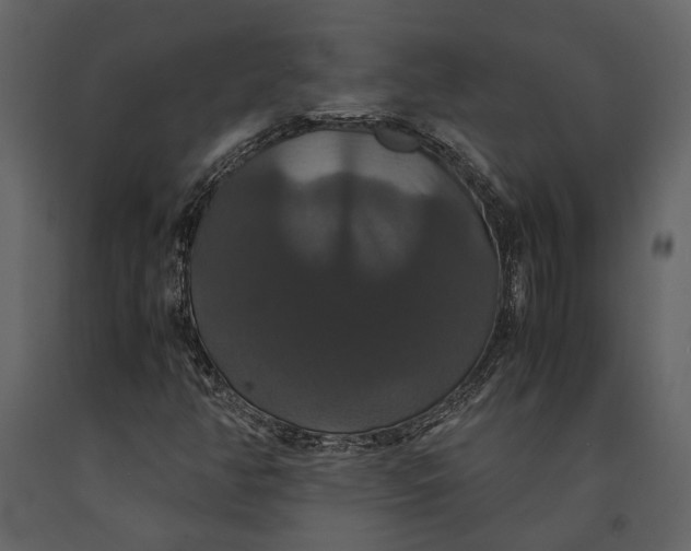 X0000091081350200708271227