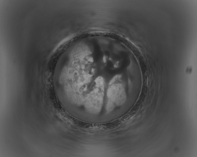 X0000091081351200708271227