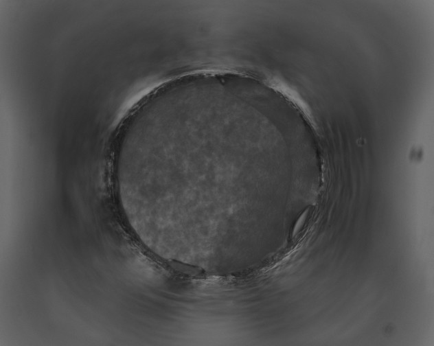 X0000091081352200708271227