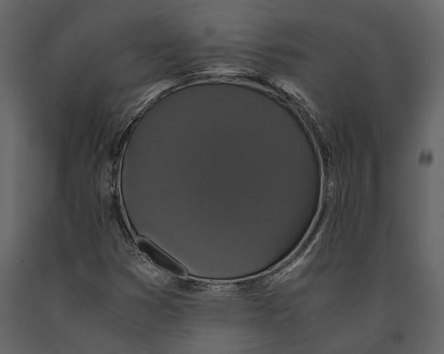 X0000091081353200708271227