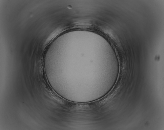 X0000091081354200708271227