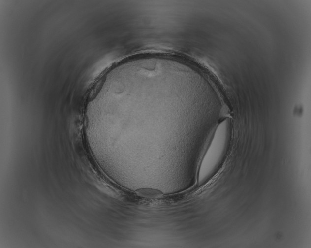 X0000091081355200708271227