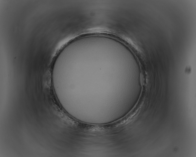 X0000091081358200708271227