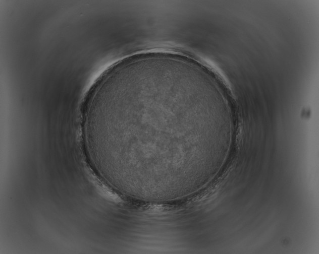 X0000091081360200708271227