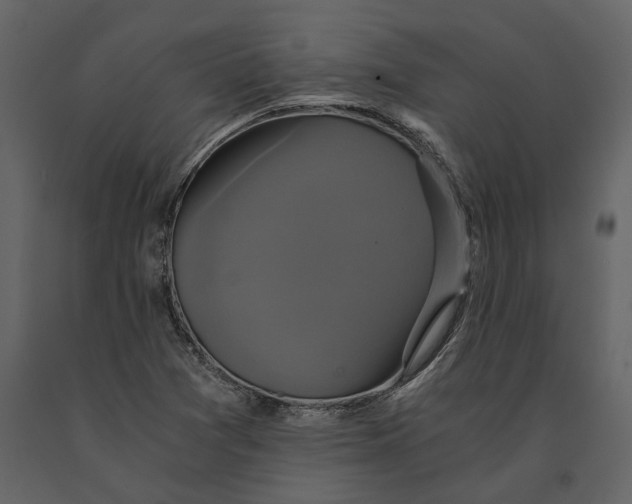 X0000091081361200708271227