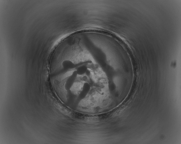 X0000091081363200708271227