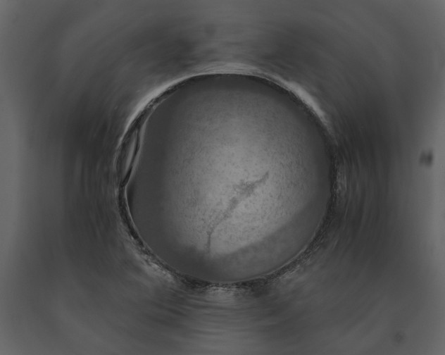 X0000091081364200708271227