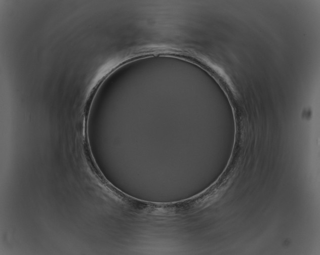 X0000091081365200708271227