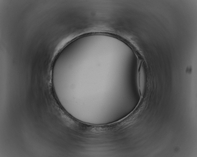 X0000091081366200708271227