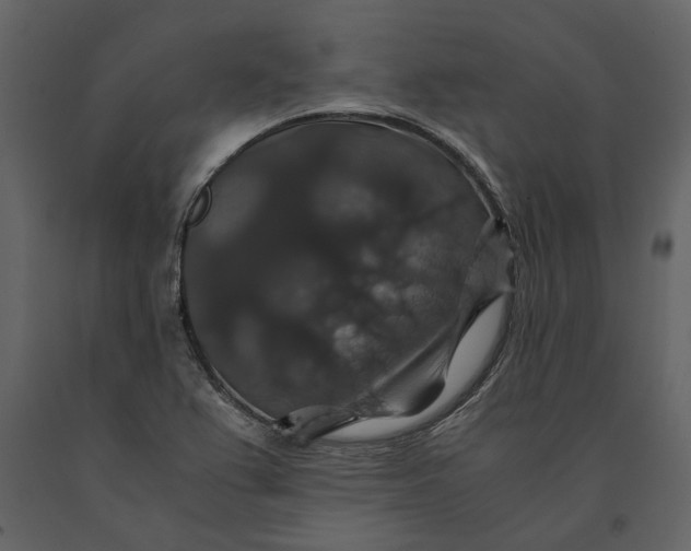 X0000091081367200708271227