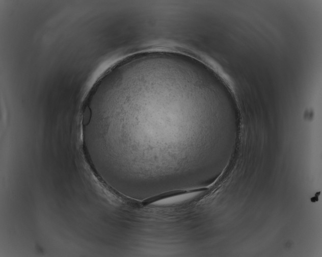 X0000091081368200708271227