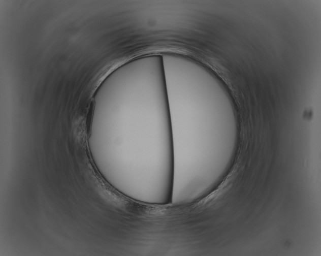 X0000091081369200708271227