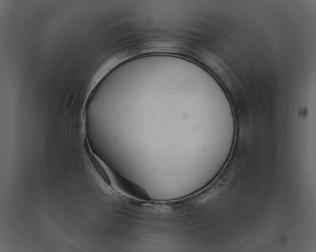 X0000091081370200708271227