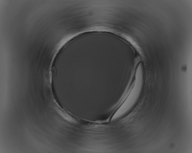 X0000091081372200708271227