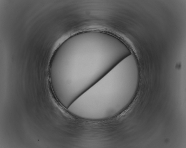 X0000091081373200708271227