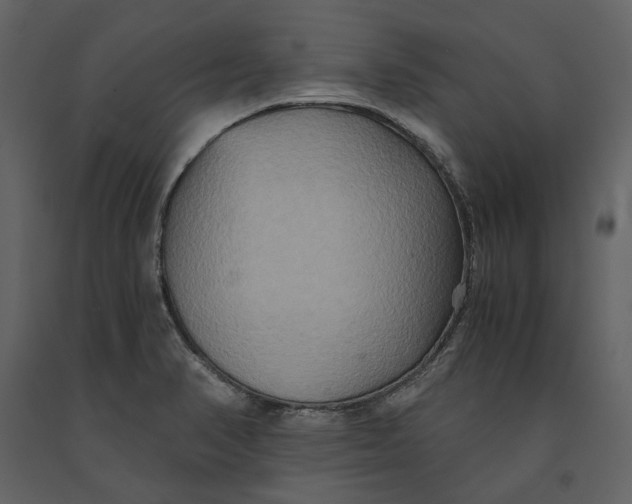 X0000091081374200708271227