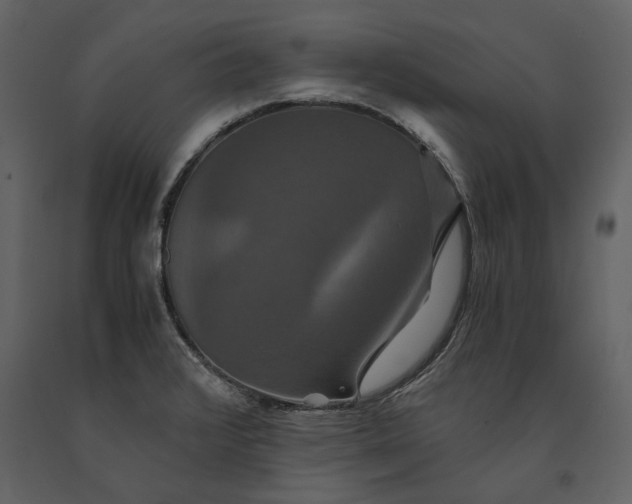 X0000091081376200708271227