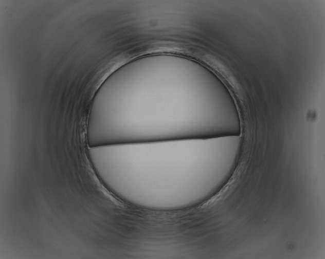 X0000091081377200708271227