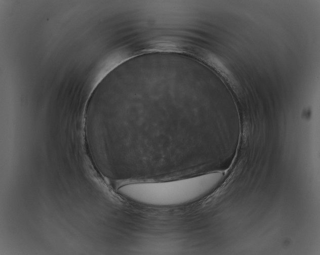 X0000091081378200708271227