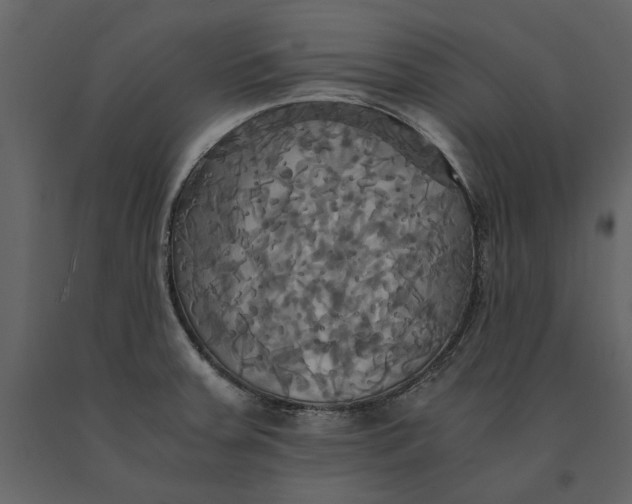 X0000091081379200708271227