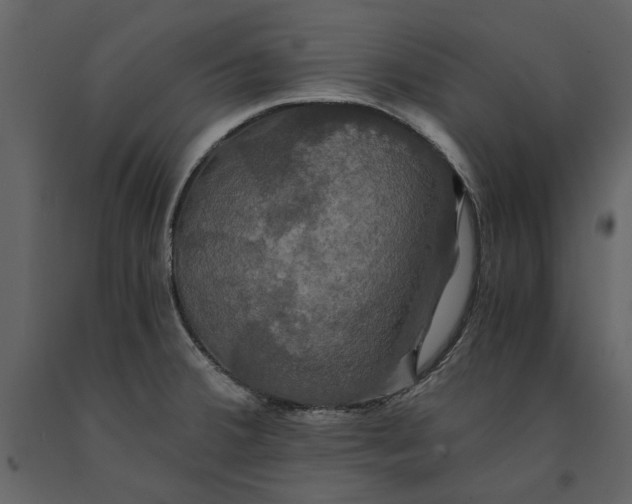 X0000091081380200708271227