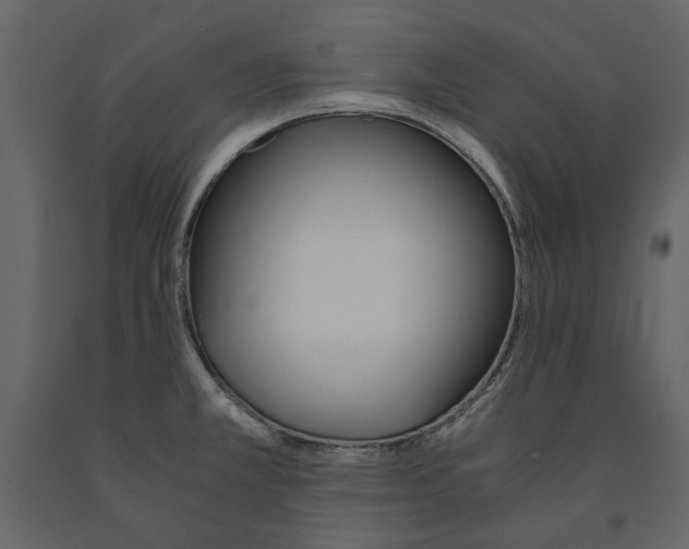 X0000091081381200708271227