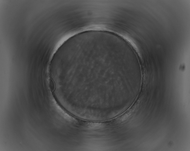 X0000091081382200708271227