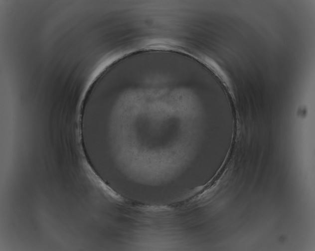 X0000091081384200708271227