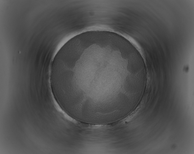 X0000091081390200708271227