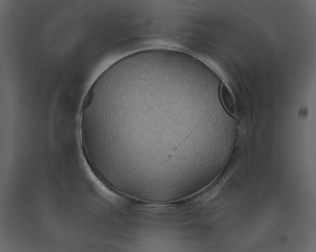 X0000091081391200708271227