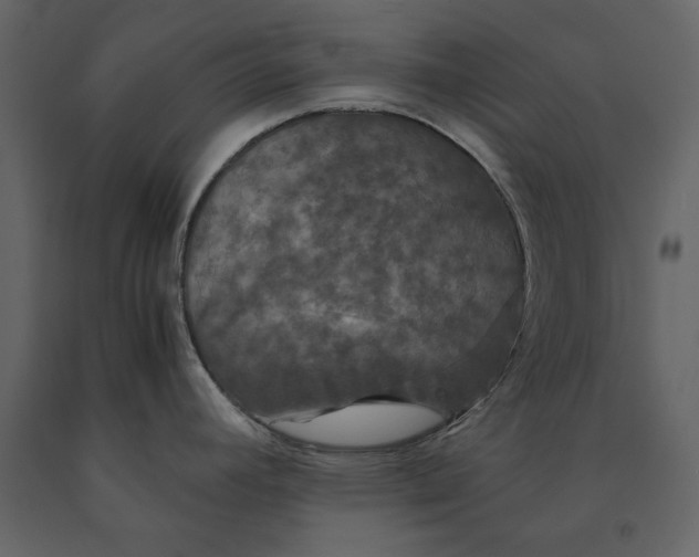 X0000091081392200708271227