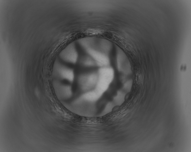 X0000091081393200708271226