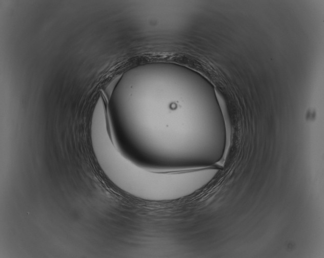 X0000091081394200708271226