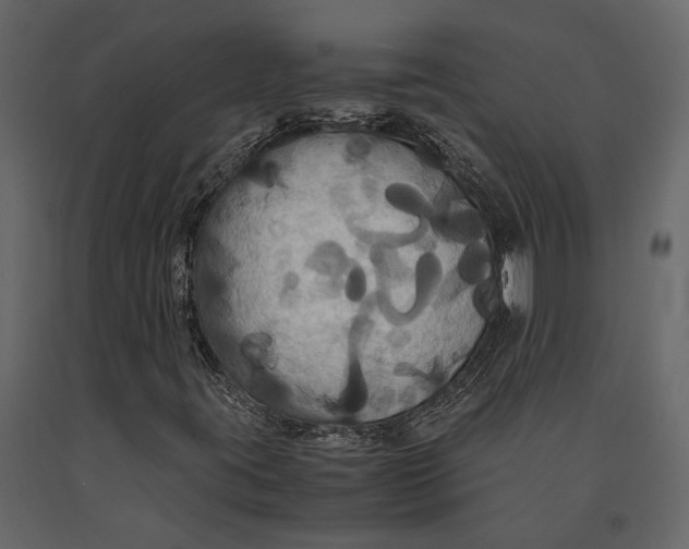 X0000091081395200708271226