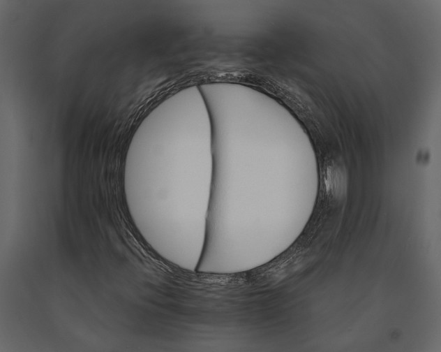 X0000091081396200708271226