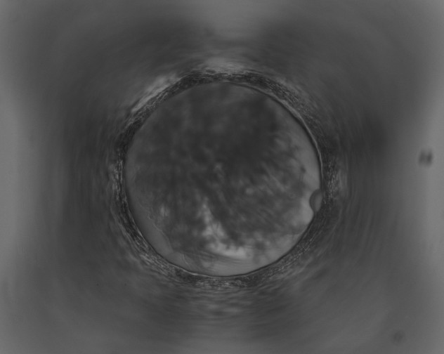 X0000091081397200708271226