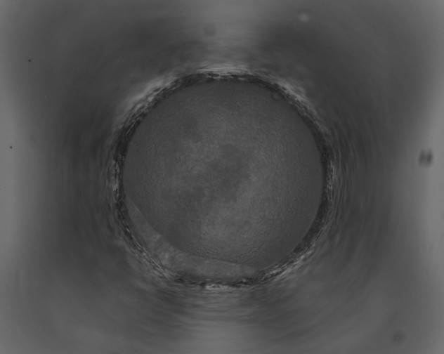 X0000091081398200708271226