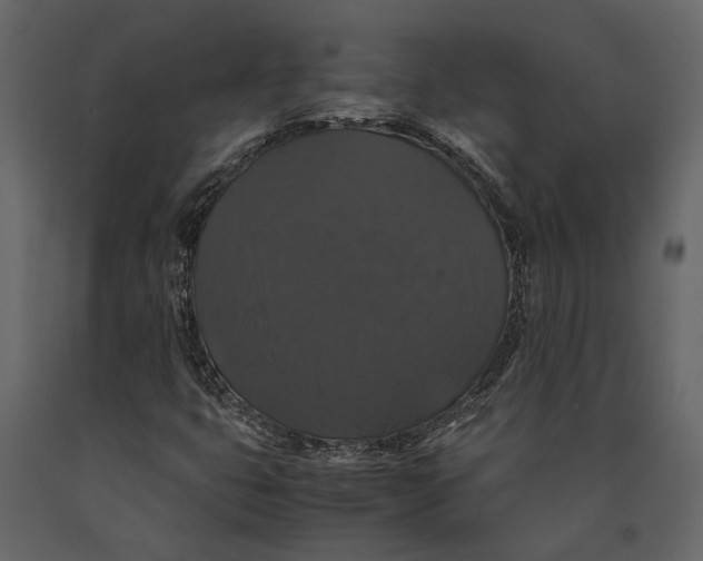 X0000091081399200708271226