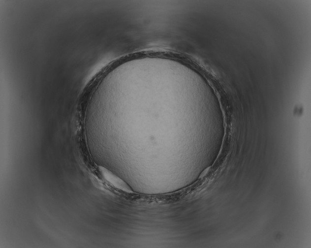 X0000091081400200708271226