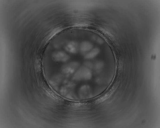 X0000091081401200708271226