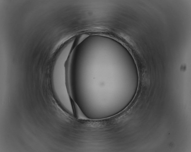 X0000091081402200708271226