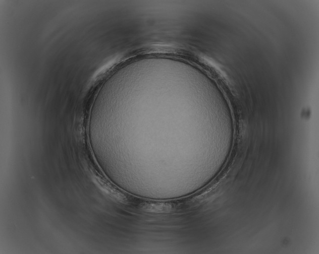 X0000091081403200708271226