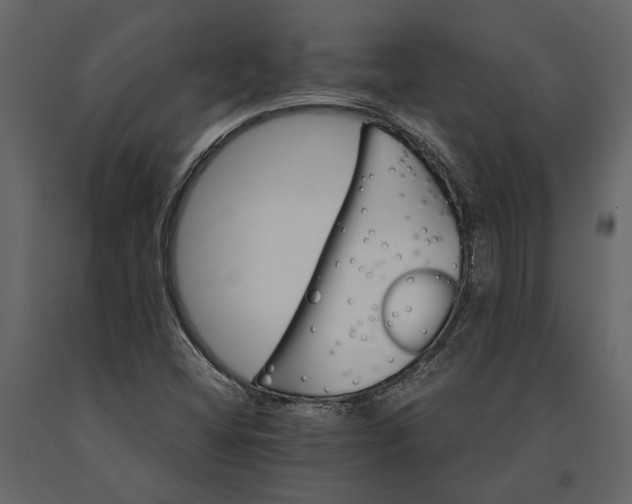 X0000091081404200708271226