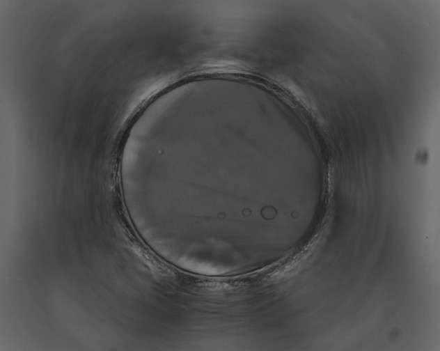 X0000091081405200708271227