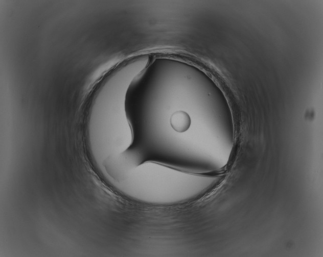 X0000091081406200708271227